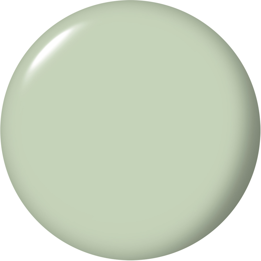 Nature Strong Vegan Lacquer