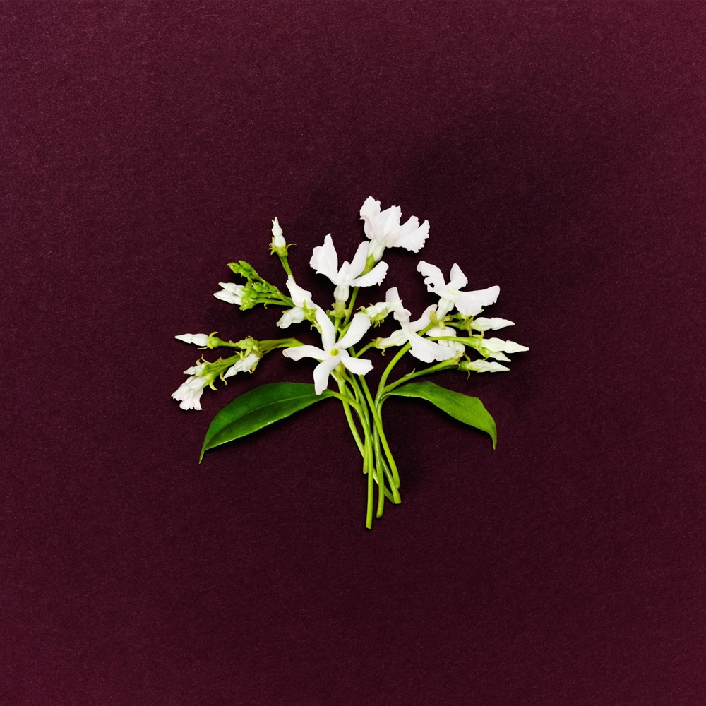 Perfect Absolute, EdP