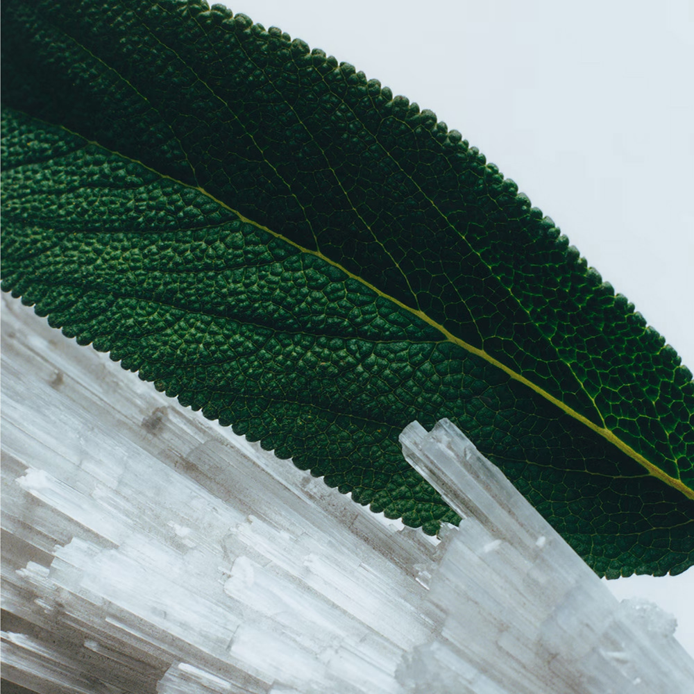 Wood Sage & Sea Salt, Cologne