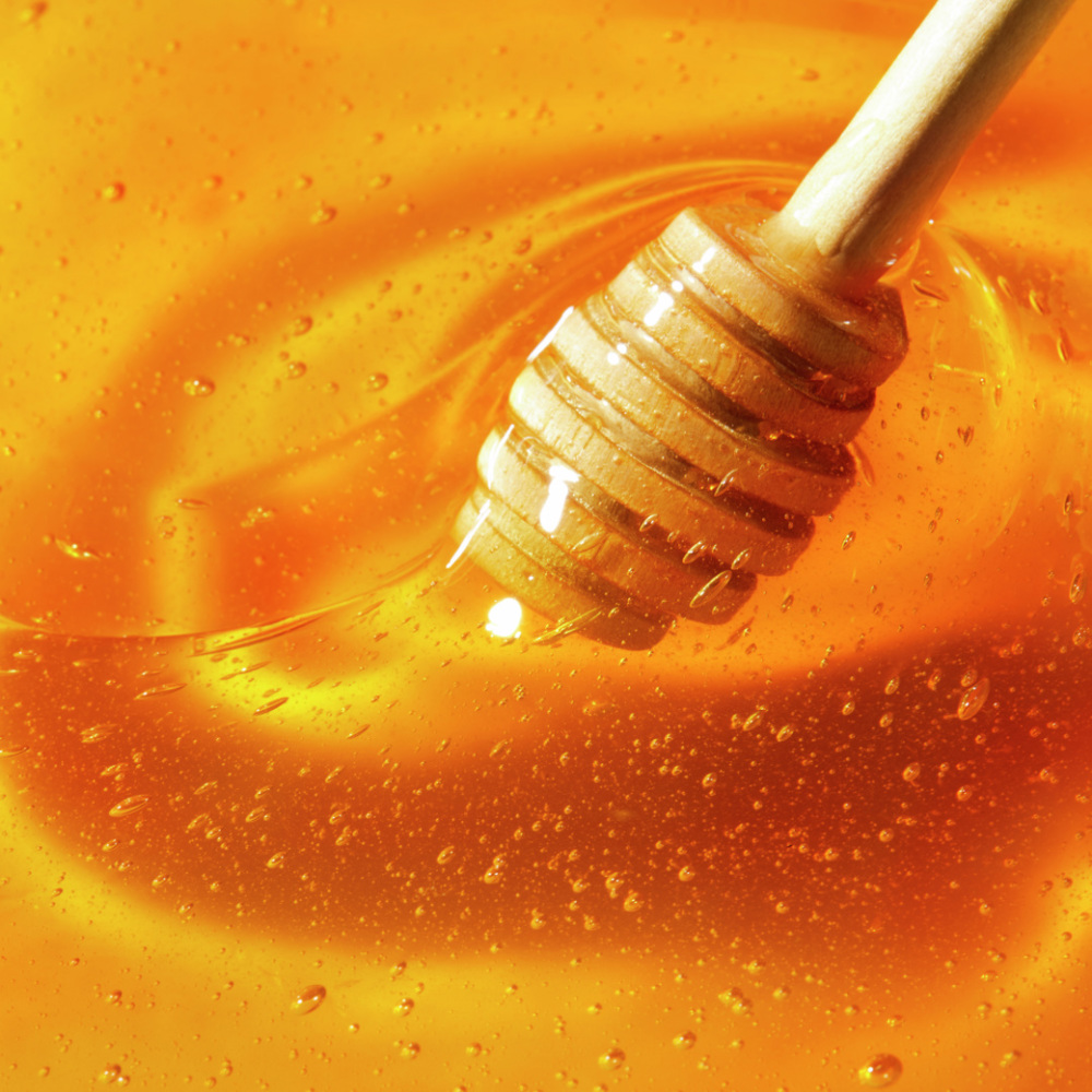 Lip Honey Fluid, 10ml