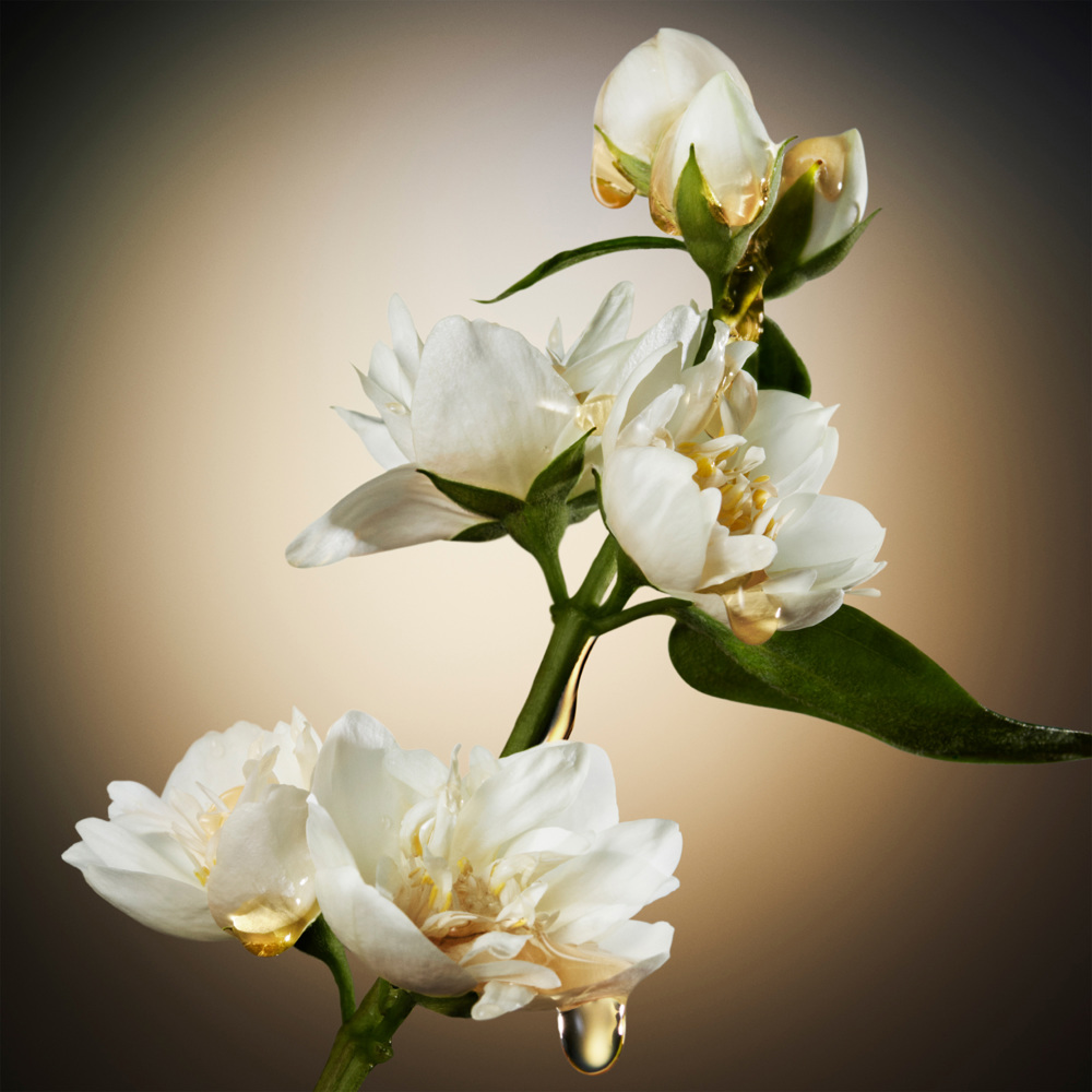 Boss The Scent For Her, EdP