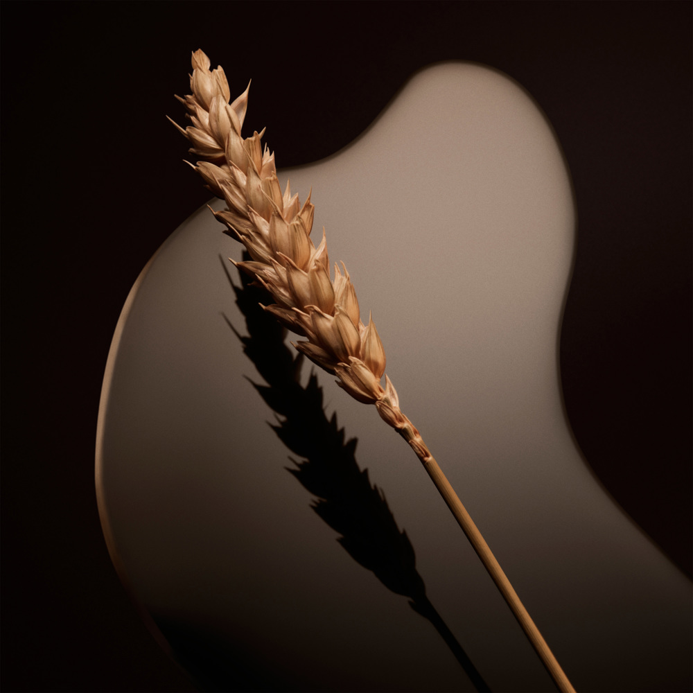 Boss The Scent Magnetic, EdP