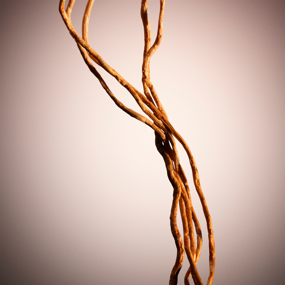 Boss The Scent for Her, Le Parfum