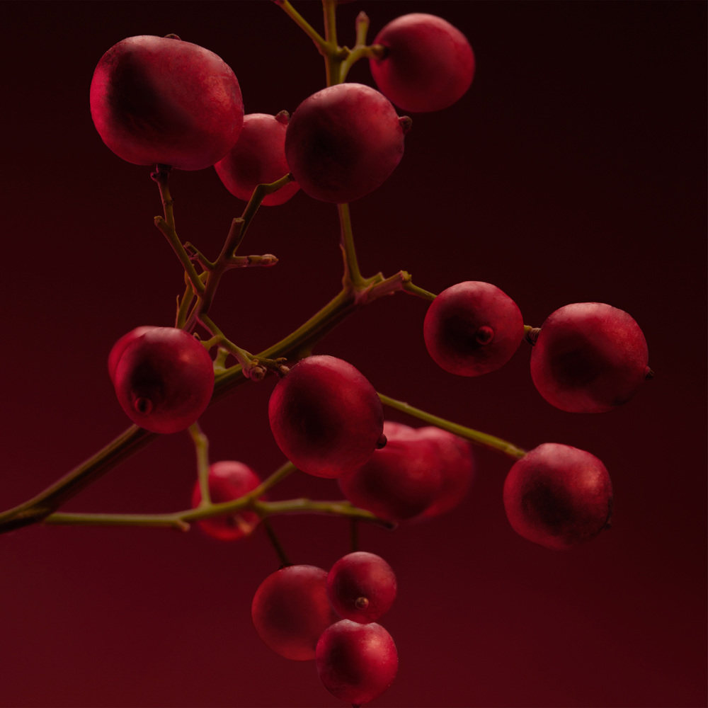 Boss The Scent for Her Elixir, EdP