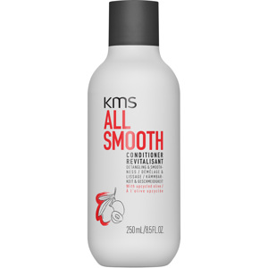 AllSmooth Conditioner, 250ml
