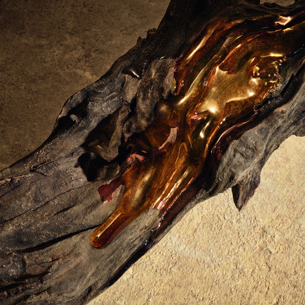 Devotion Pour Homme, Parfum