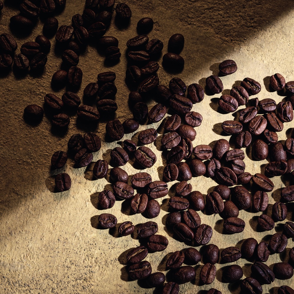 Devotion Pour Homme, Parfum