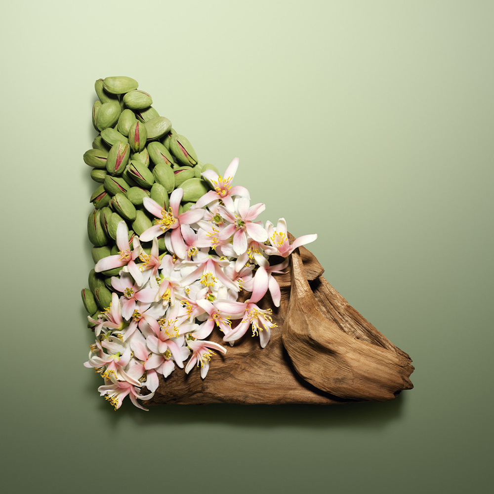 Paradoxe Radical Essence, Parfum