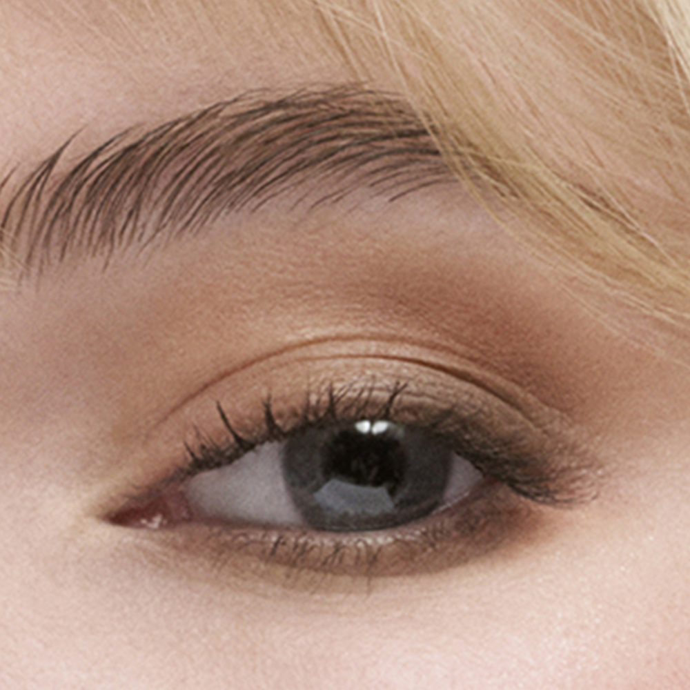 The Essential Eyeshadow Quad