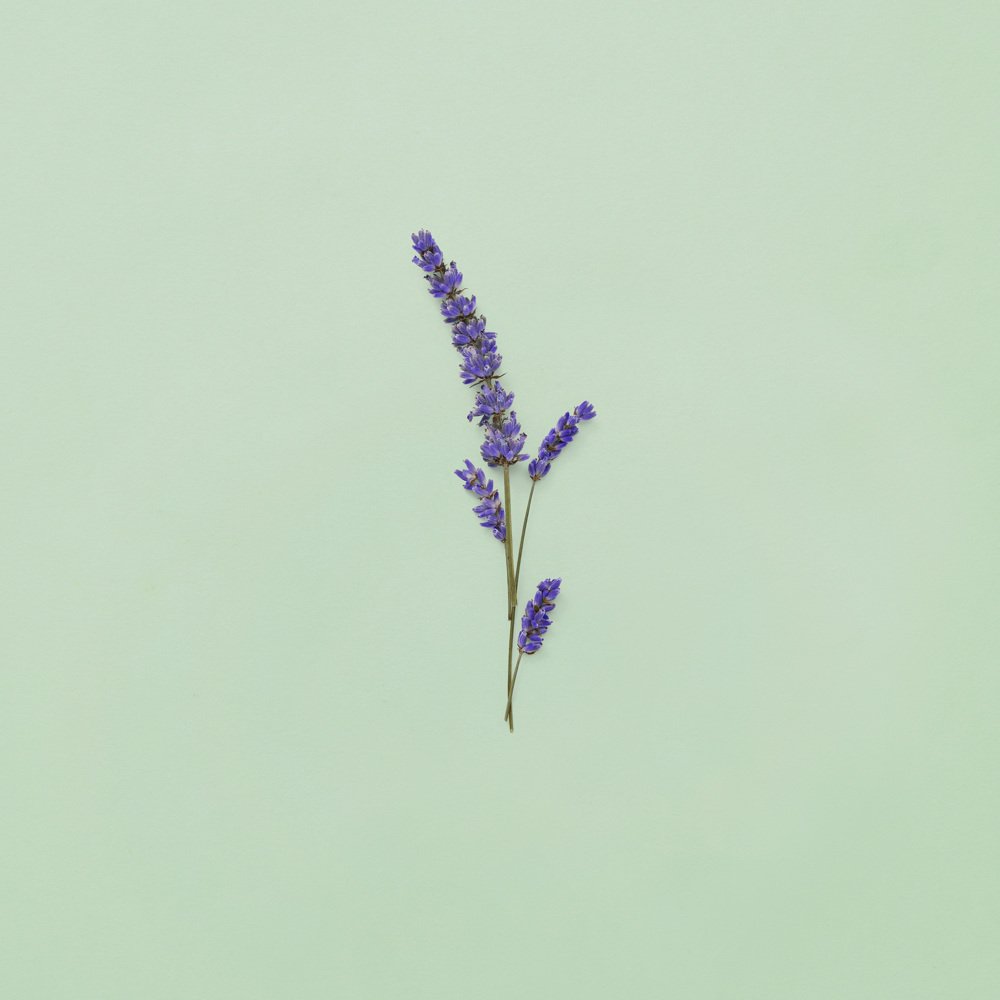 Guilty Pour Homme, EdT