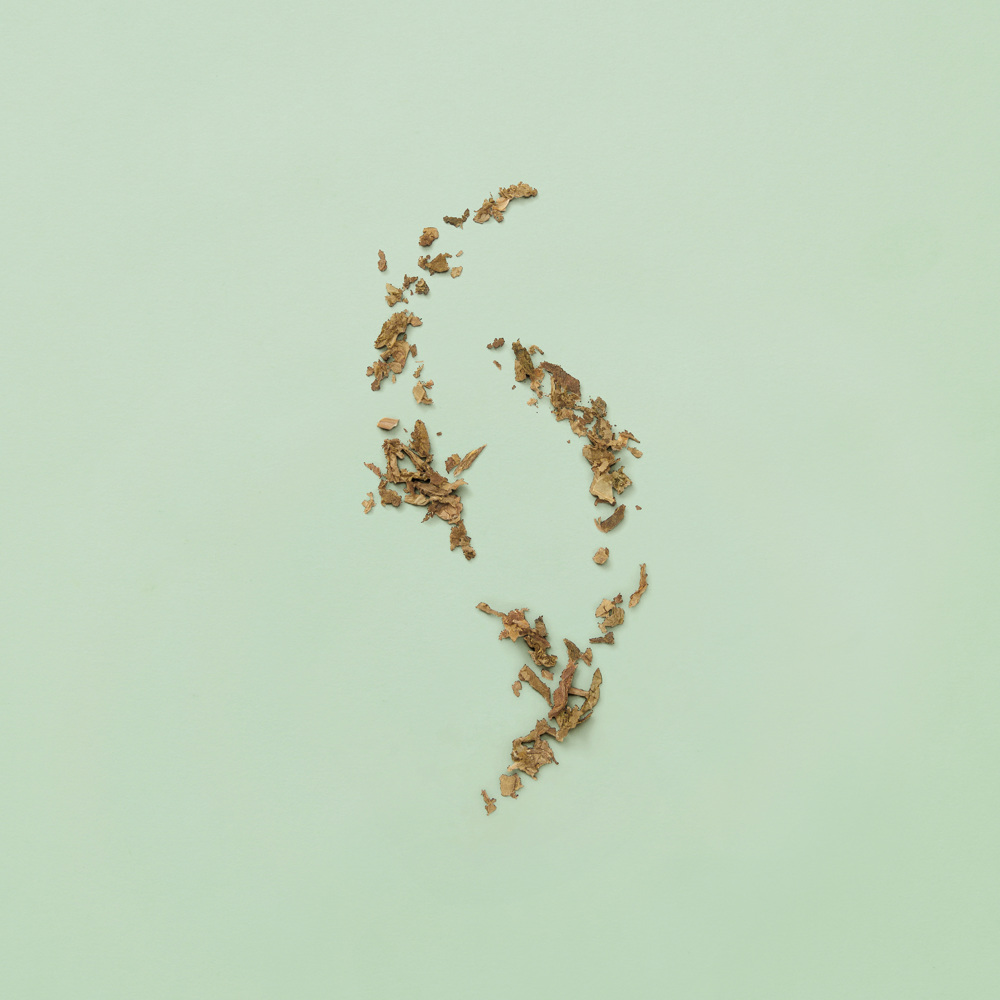 Guilty Pour Homme, EdT