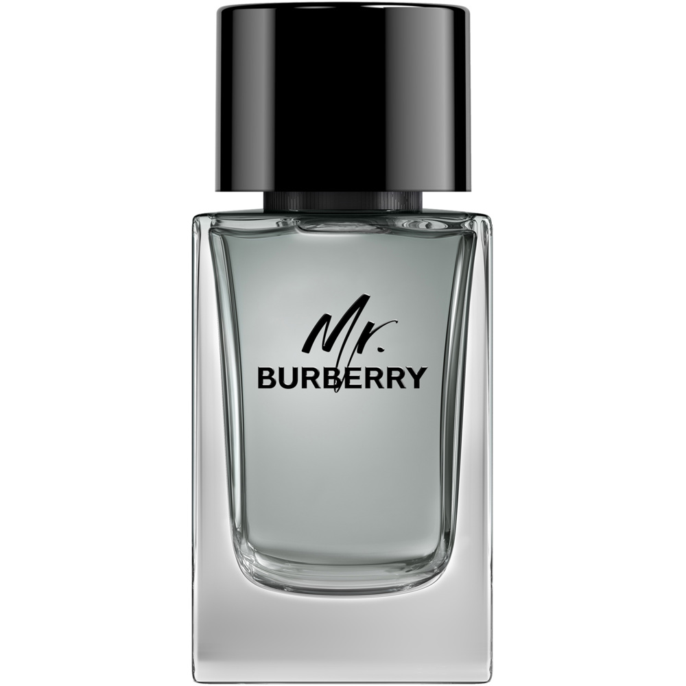 Mr. Burberry, EdT