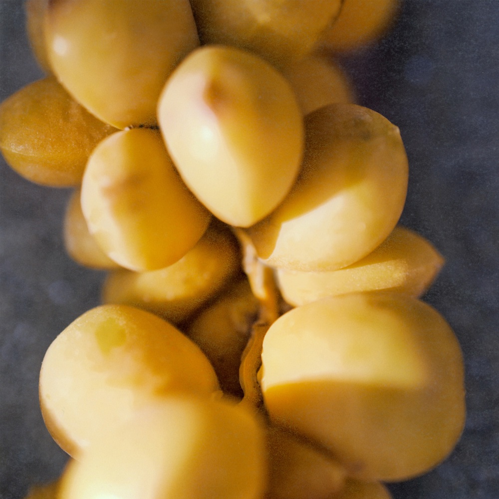 Nomade Jasmin Naturel, EdP