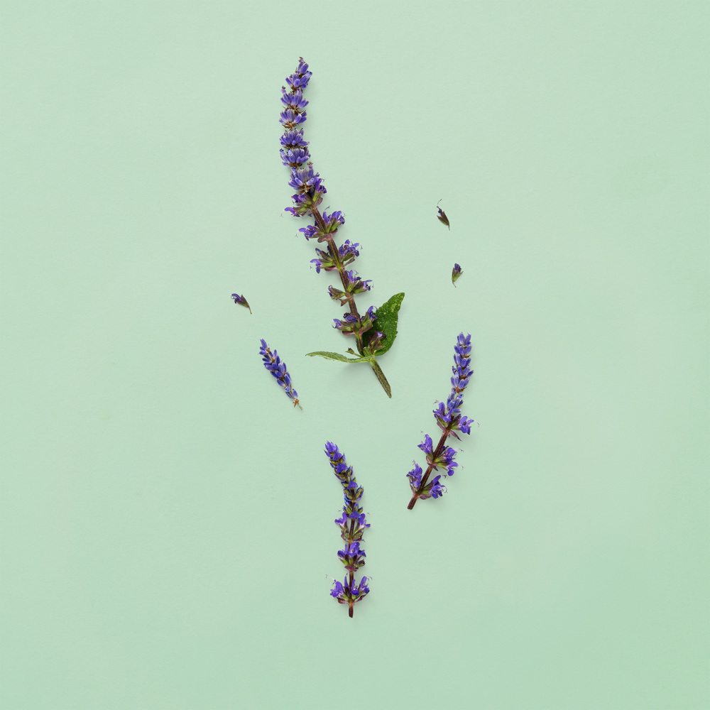 Guilty Pour Homme, Parfum