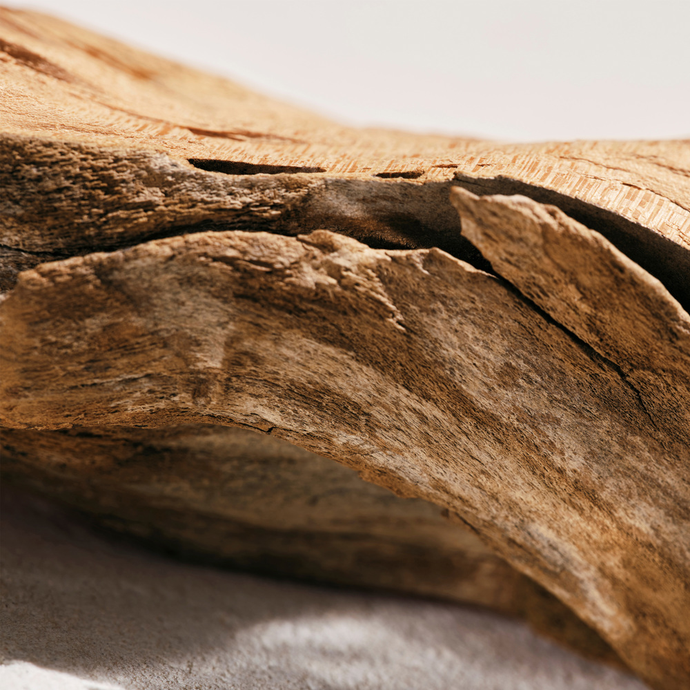 L'Eau De Parfum Intense, EdP