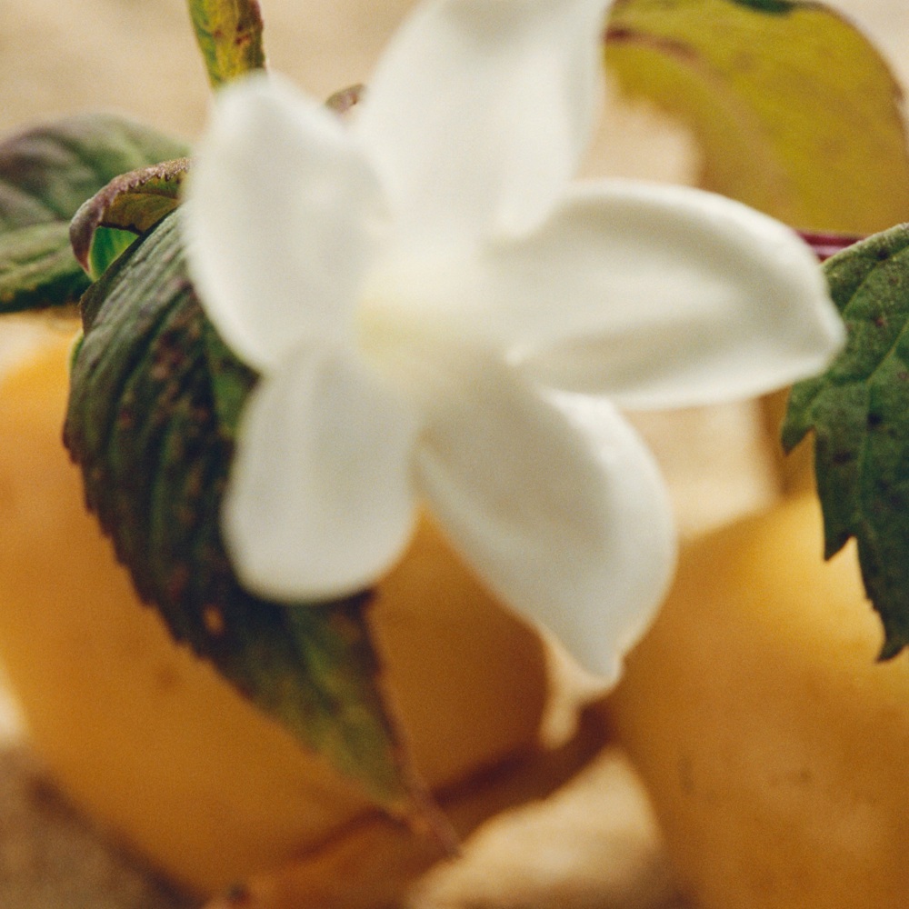 Nomade Jasmin Naturel Intense, EdP