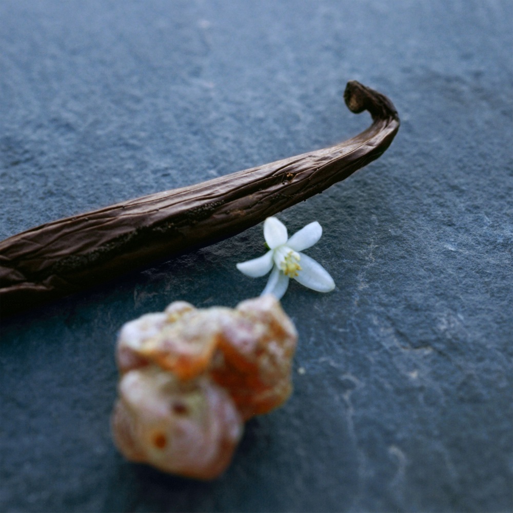 Nomade Nuit d'Egypte, EdP