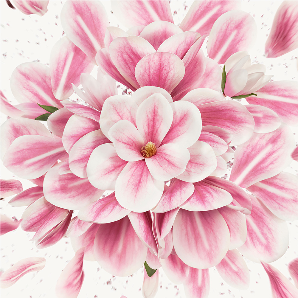Flora Gorgeous Magnolia, EdP