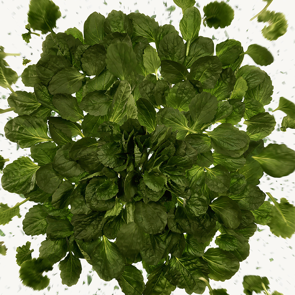 Flora Gorgeous Magnolia, EdP