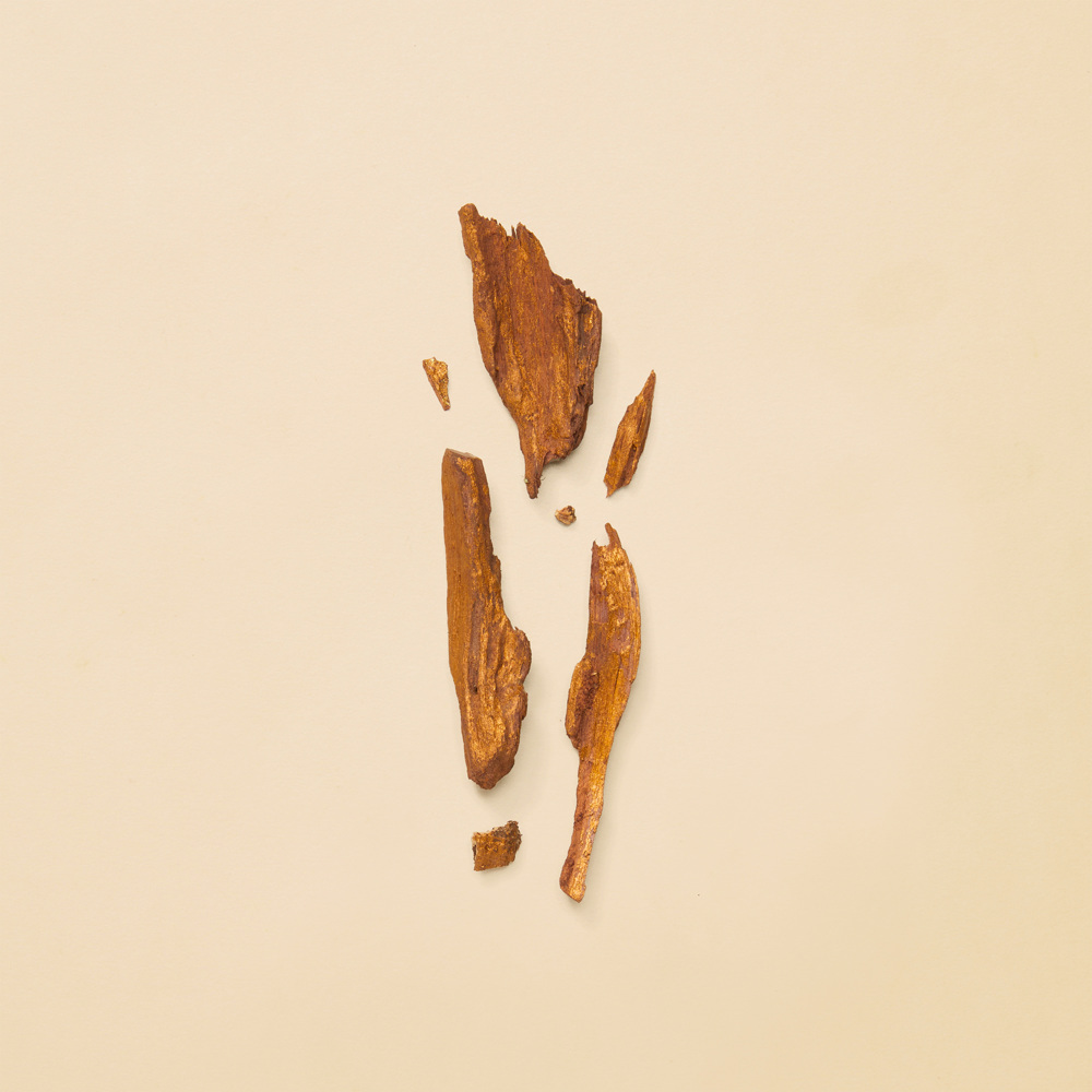 Gucci Guilty Absolute Pour Femme, EdP