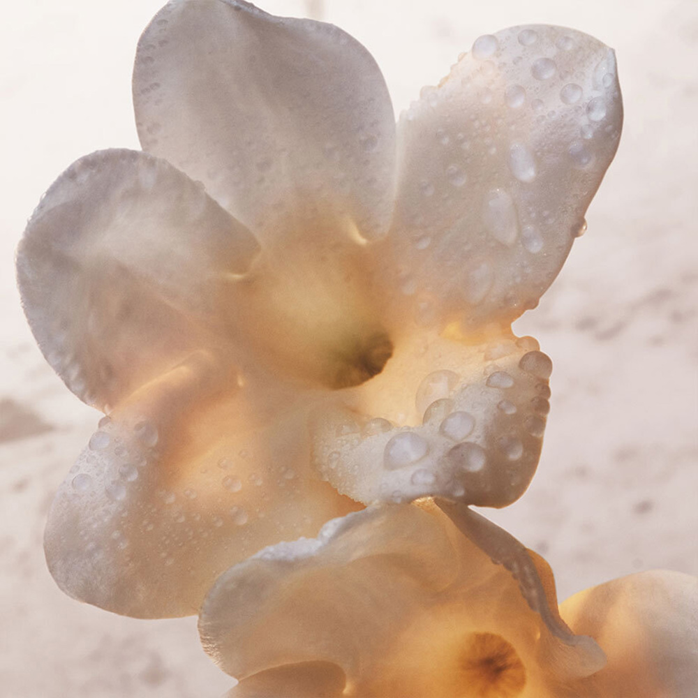 Olympéa Deodorant Spray, 150ml