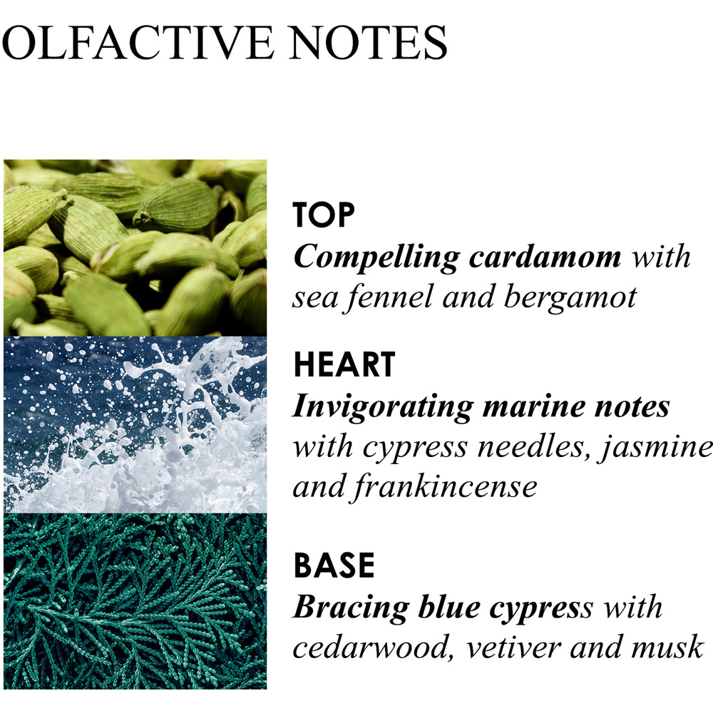 Coastal Cypress & Sea Fennel Bath & Showergel