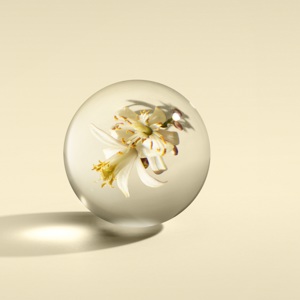 Luxury Scented Candle Triple Wick, Orange & Bergamot