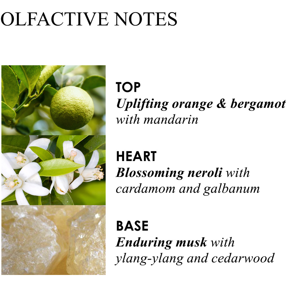 Luxury Scented Candle Triple Wick, Orange & Bergamot