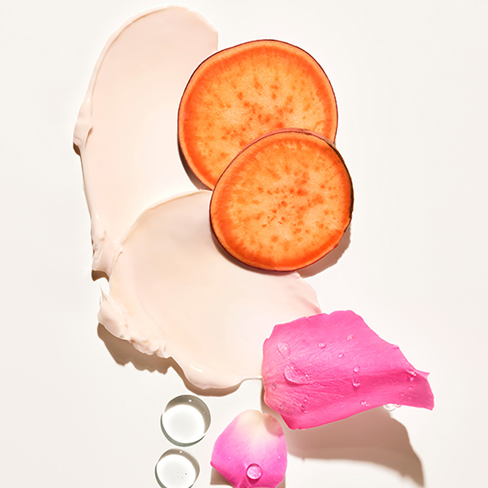 Rosa Charmosa Dewy Cream