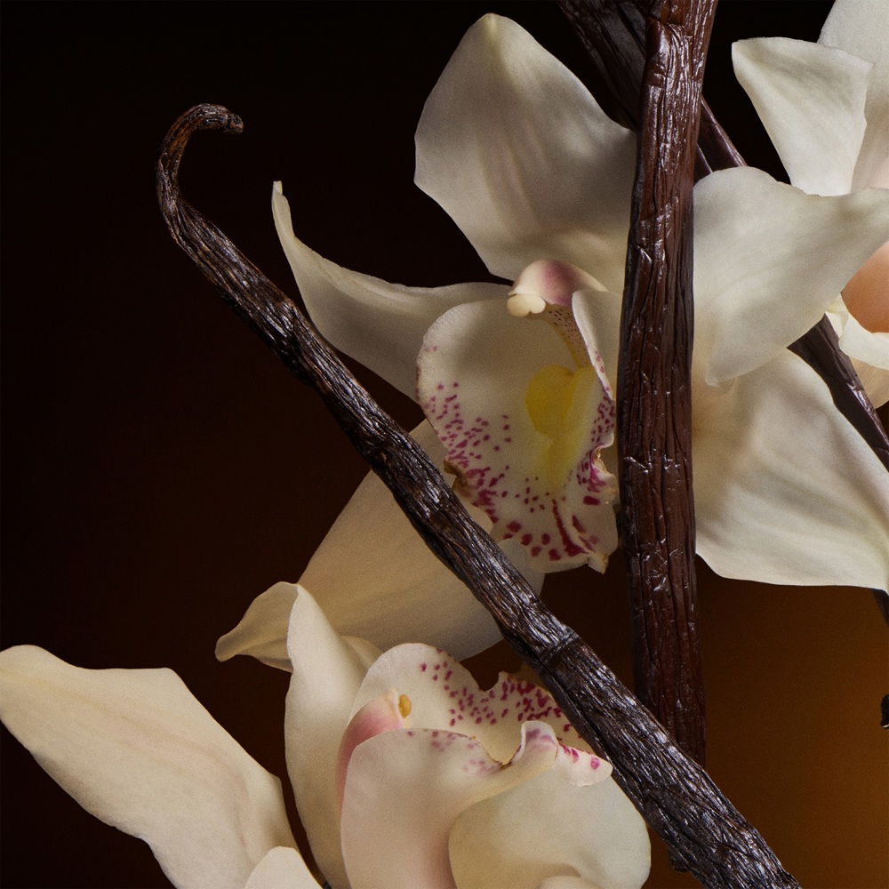 The One, EdP Intense