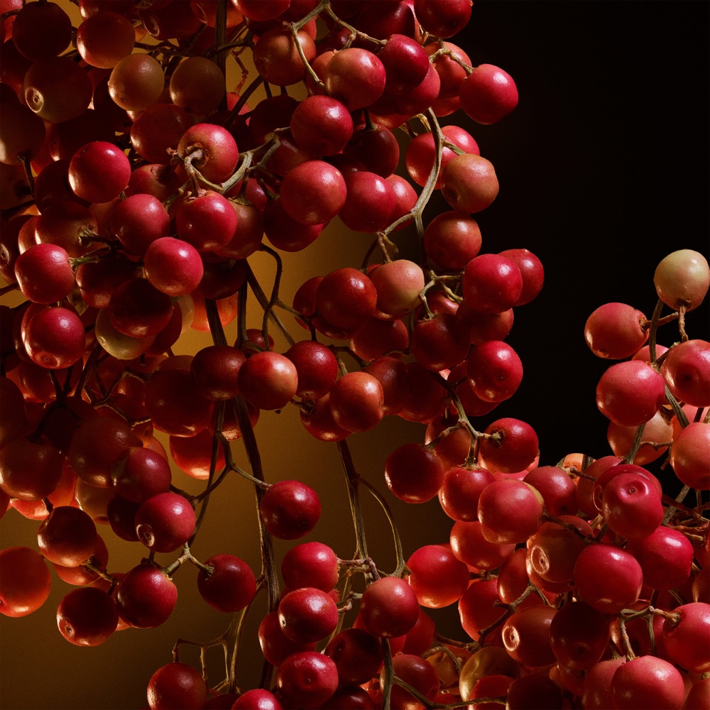 The One, EdP Intense