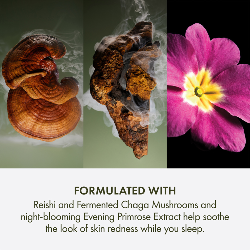 Dr. Weil Mega-Mushroom Overnight Recovery Cream, 50ml