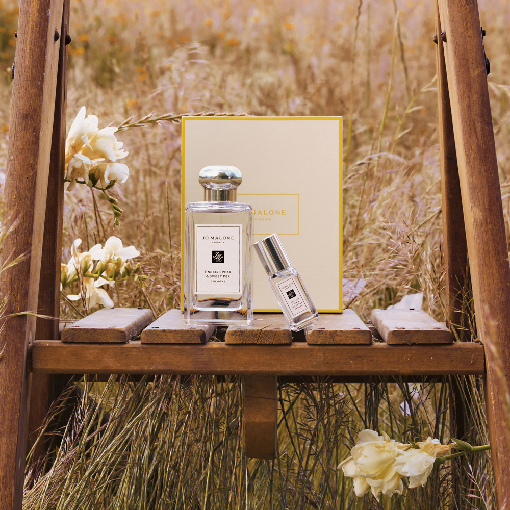 English Pear Discovery Collection