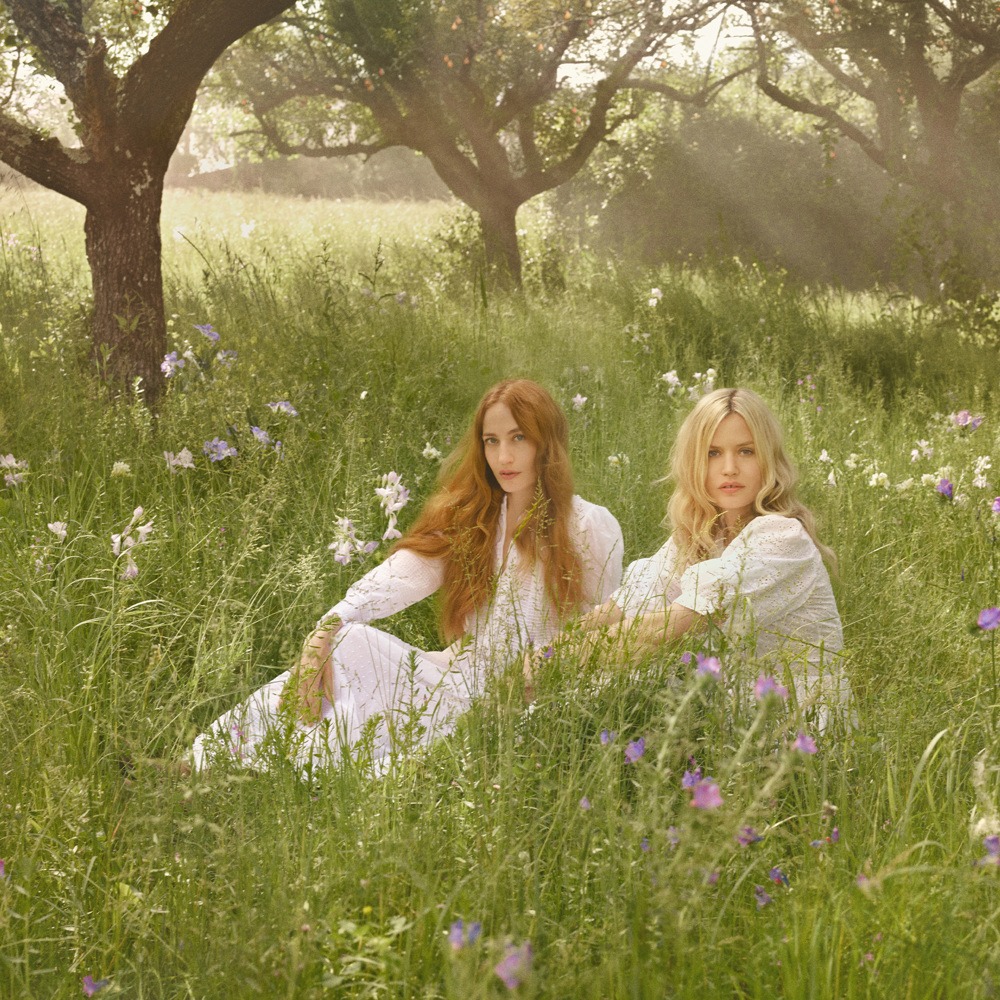 English Pear Discovery Collection