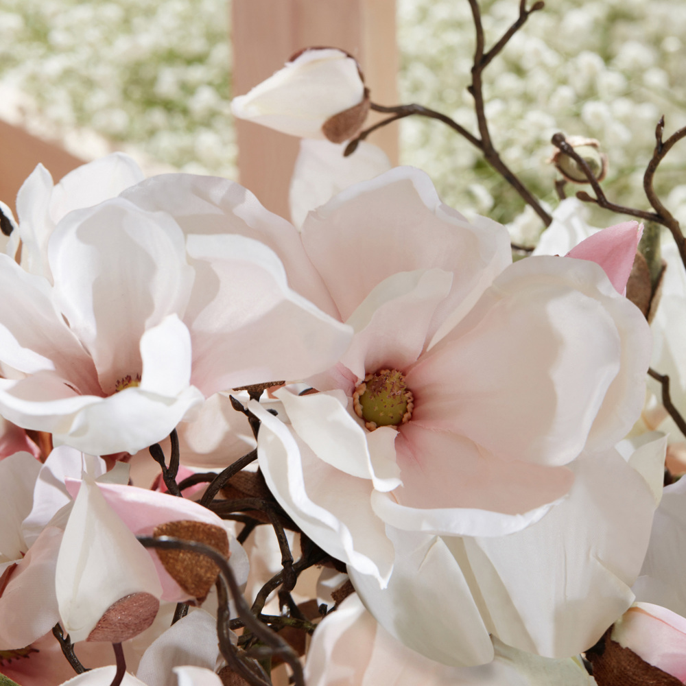 Be Delicious Fresh Blossom, EdP