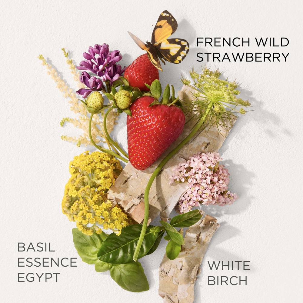 Green Tea Strawberry Basil, EdT