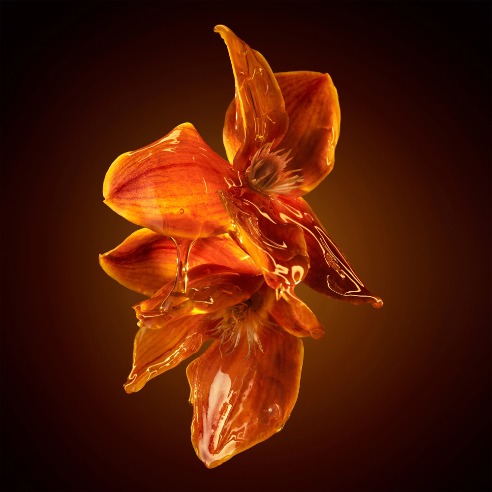 Boss The Scent for Her, EdP Intense