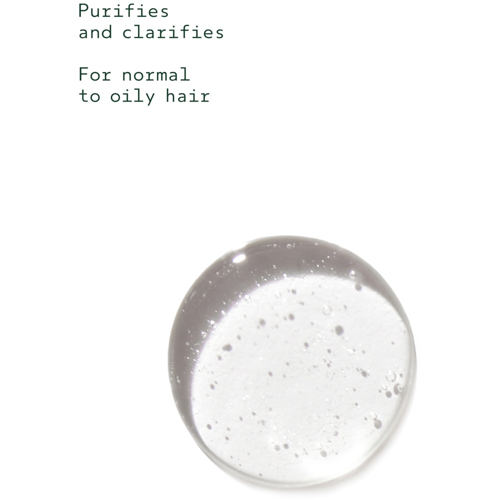 Rosemary Mint Shampoo