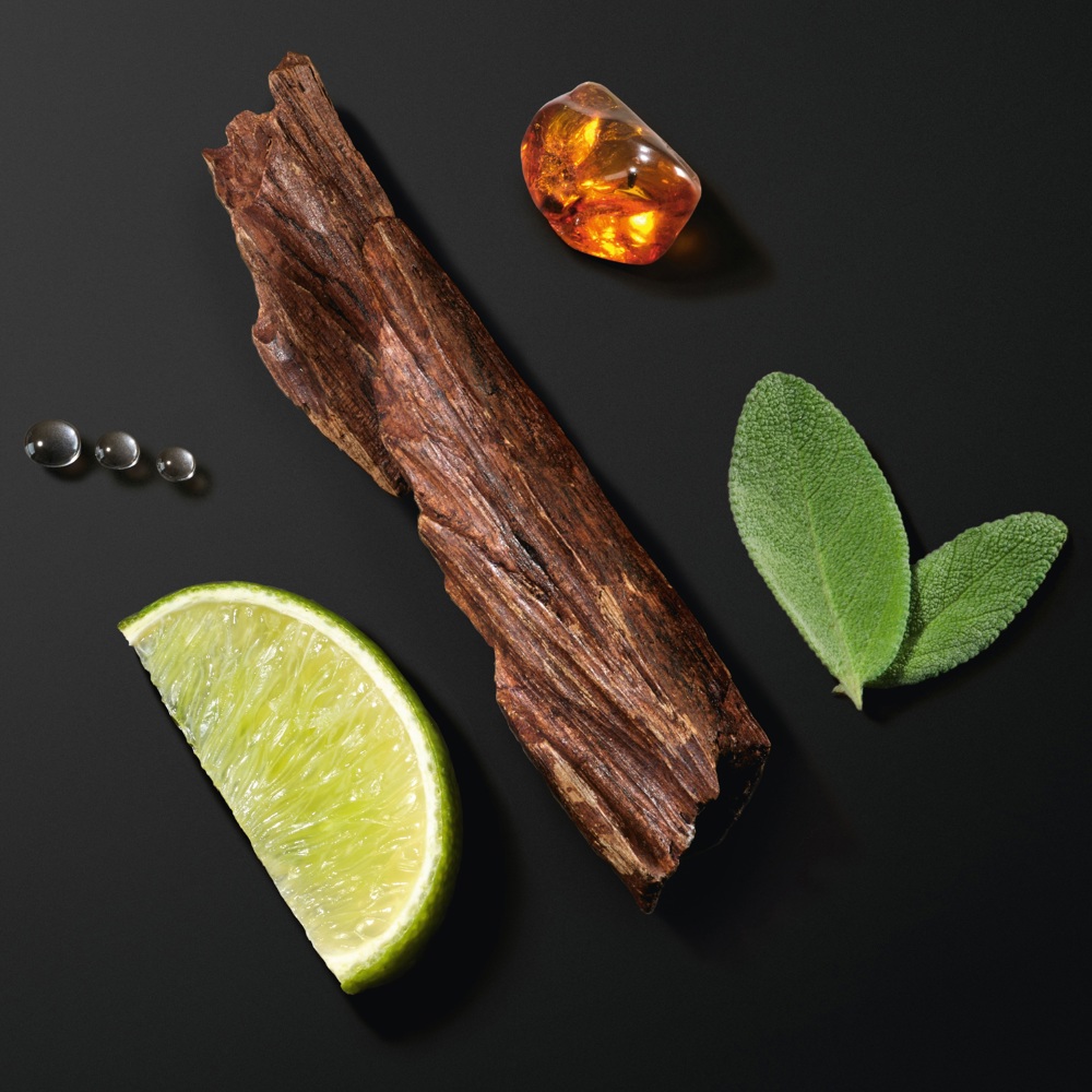 Acqua di Giò, EdP Intense