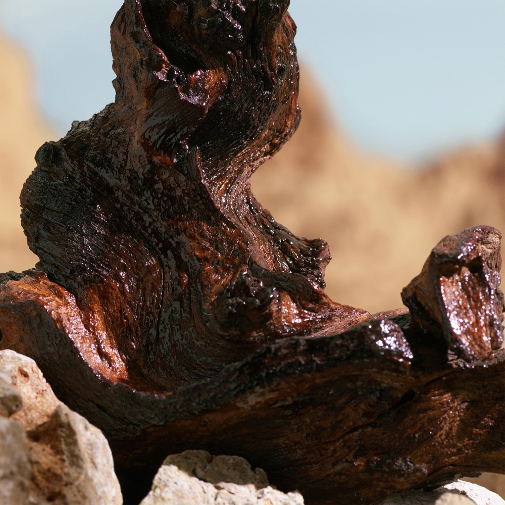 K by Dolce & Gabbana Elixir, Parfum