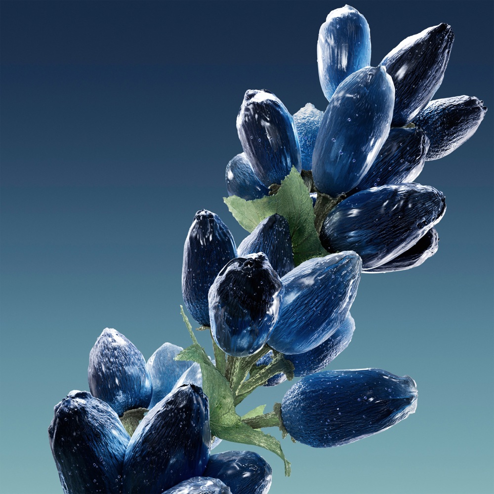Boss Bottled Striking Lavender, EdP