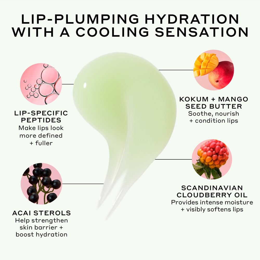 Pout Preserve Peptide Lip Treatment