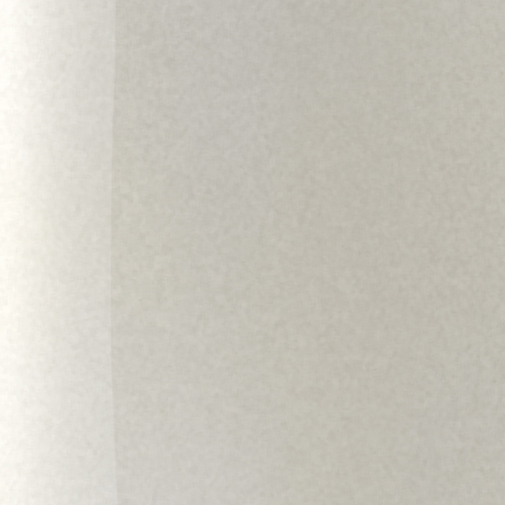 The Wonder Nail Polish Quick Dry & Longwear