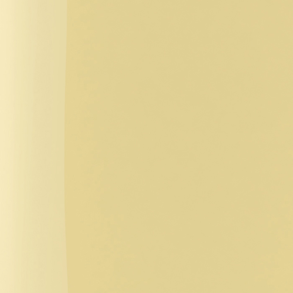 The Wonder Nail Polish Quick Dry & Longwear