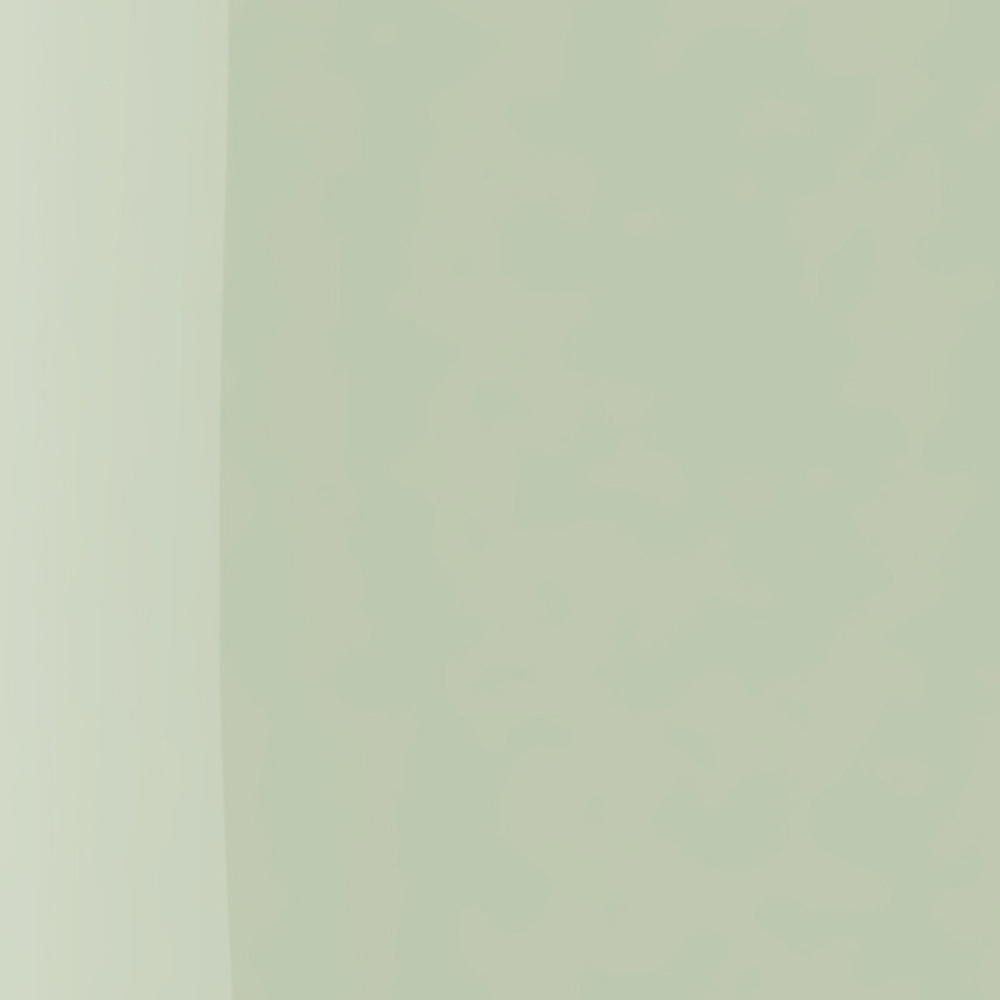 The Wonder Nail Polish Quick Dry & Longwear