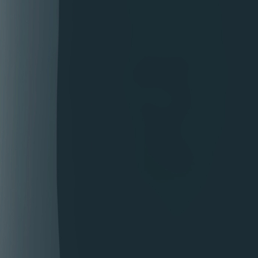 The Wonder Nail Polish Quick Dry & Longwear