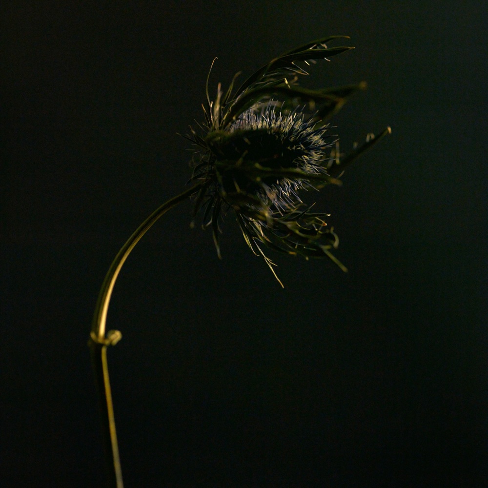 290 Firming Body Serum, 120ml