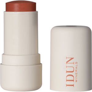 Soft Tint Blush Stick