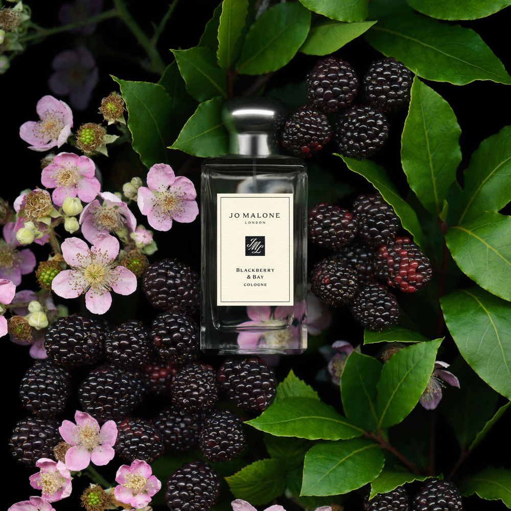 Blackberry & Bay, Cologne