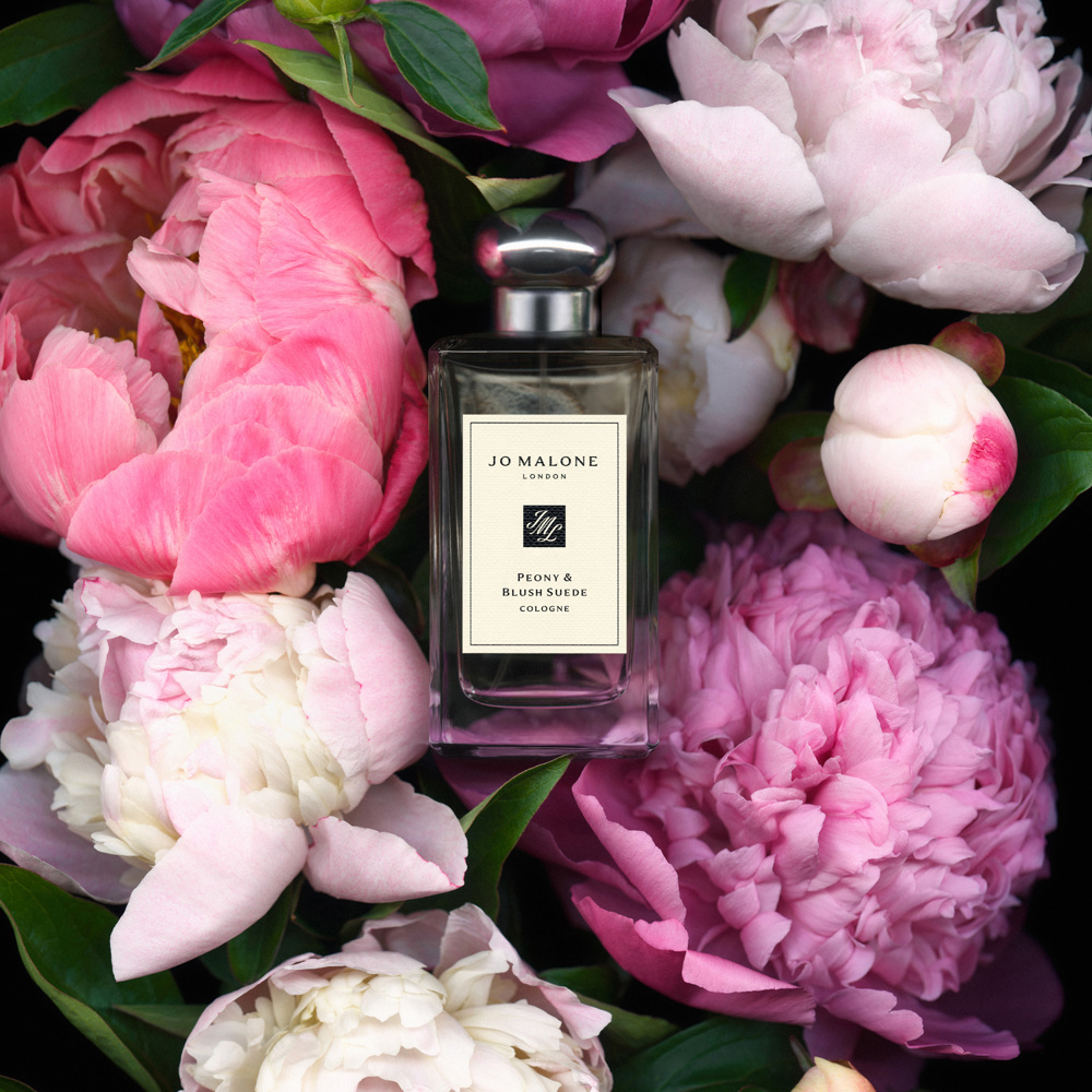 Peony & Blush Suede, Cologne